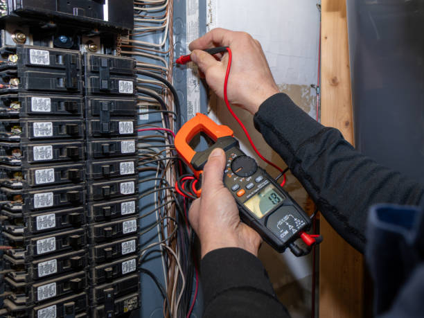 Best Electric Panel Repair  in Pierce City, MO